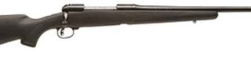 Savage 11/111 FCNS Bolt 30-06 Springfield 22" Barrel, Accustock Black Stock Blued, 4rd