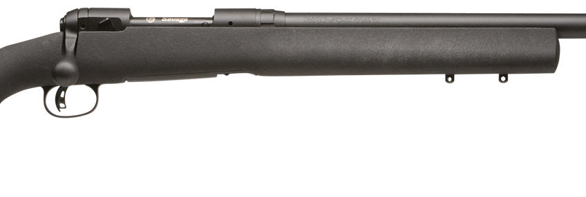 SAVAGE ARMS 10 FCP HS PRECISION