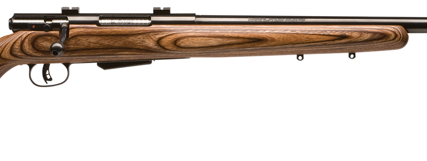 SAVAGE ARMS 25 LIGHTWEIGHT VARMINT