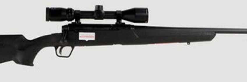 Savage Axis II XP 30-06 Springfield 22" Rifle w/ Bushnell Scope, Synthetic/Blued – 57098