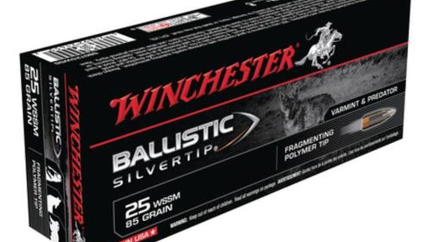 Winchester Supreme 25 Super Short Mag BLST 85gr, 20Box/10Case