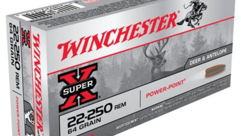 Winchester Super-X .22-250 Remington 64gr, Power Point 20rd Box