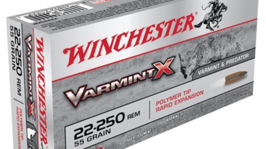 Winchester Varmint X .22-250 Remington 55gr, Varmint X Polymer, 20rd Box