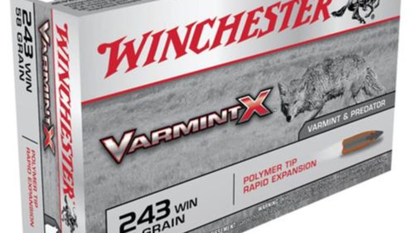 Winchester Varmint X .243 Win 58gr, Polymer Tip, 20rd Box