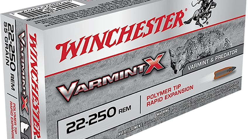 WINCHESTER VARMINT X