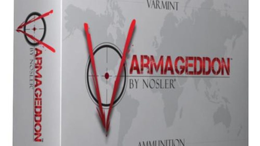 Nosler Varmageddon .243 Winchester 55gr, Flat Base Hollow Point 20rd Box