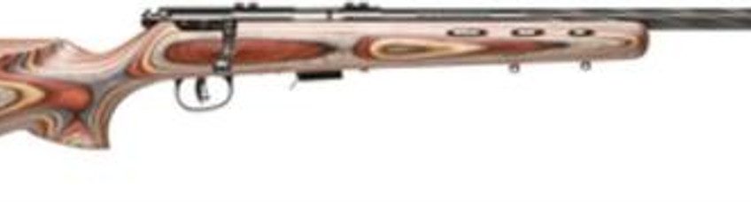 Savage Bolt 22 LR 21" Laminated Blue Matte/Satin