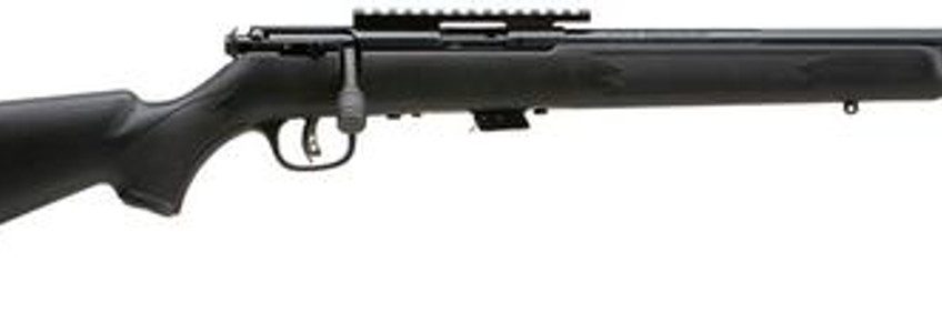 Savage Mark II FV-SR 22LR 16.5" Threaded Barrel, Sight Rail, Accutrigger, 5 Round