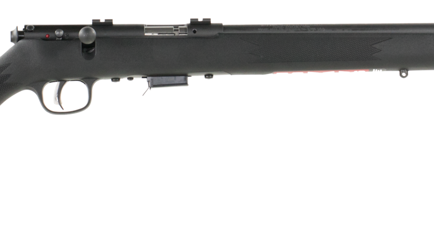 SAVAGE ARMS 93 FV