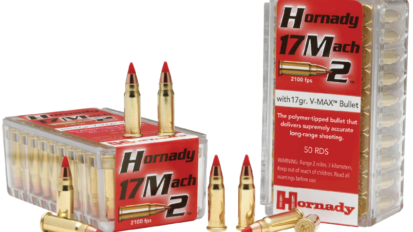 HORNADY VARMINT EXPRESS