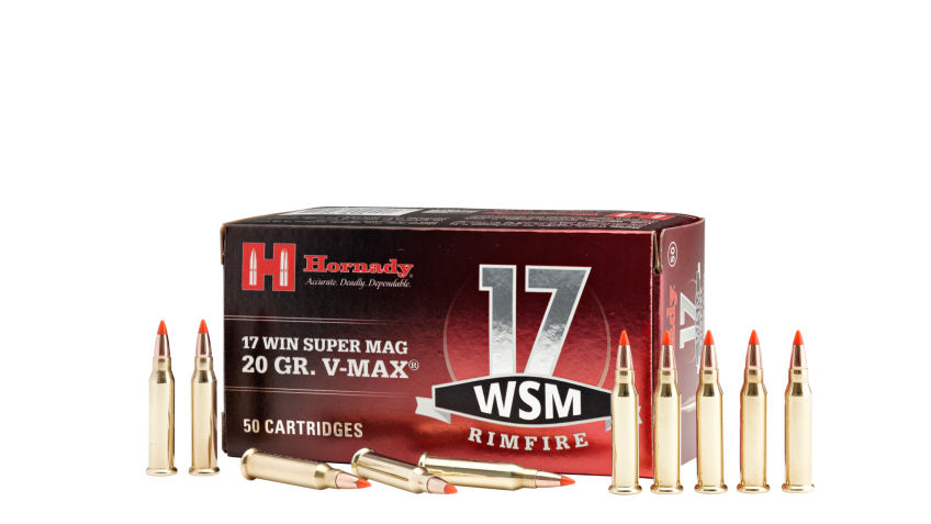 HORNADY VARMINT EXPRESS