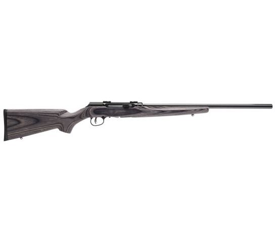 Savage Arms A17 Target Sporter Laminate 17 HMR 10 Round Semi Auto Delayed Blowback Rimfire Rifle, Sporter – 47006