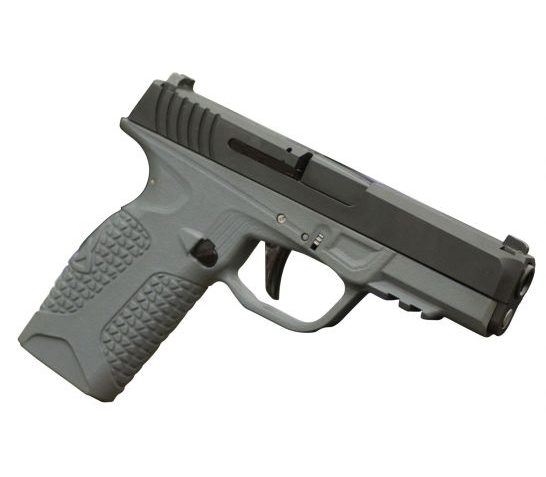 Avidity Arms PD10 9mm 10+1 Round Double Pistol, Gray – AAPDG10