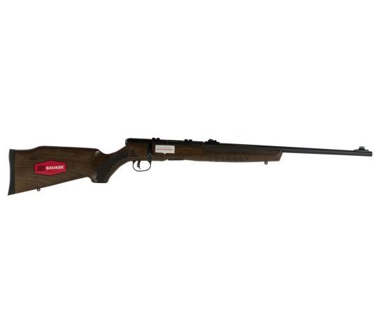 Savage Arms B17 G 17 HMR 10 Round Bolt Action Rimfire Rifle, Sporter – 70810