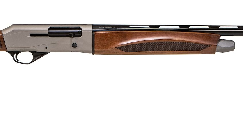 LEGACY SPORT INTERNATIONAL Pointer Field Tek 3