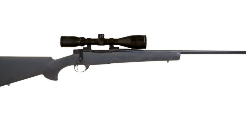 HOWA M1500 GAMEPRO 2