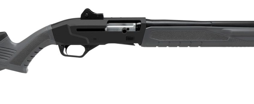 SAVAGE ARMS RENEGAUGE SECURITY