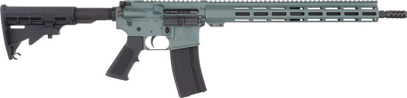 GREAT LAKES FIREARMS AR15