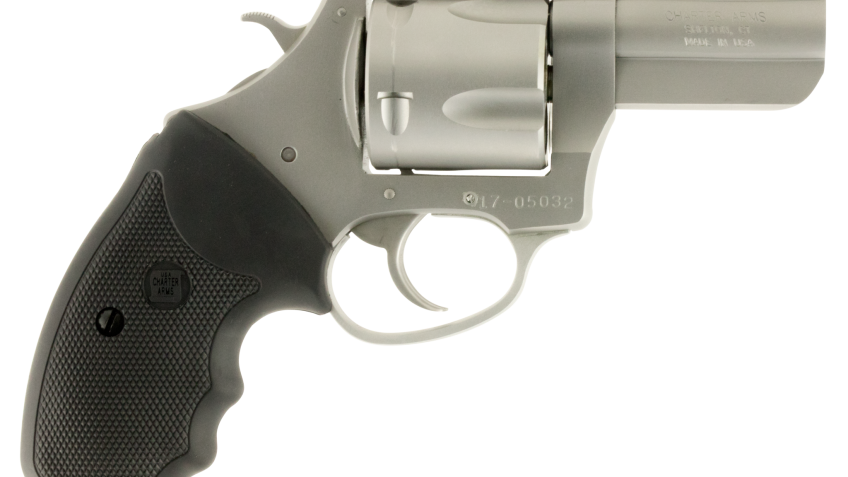 CHARTER ARMS PITBULL