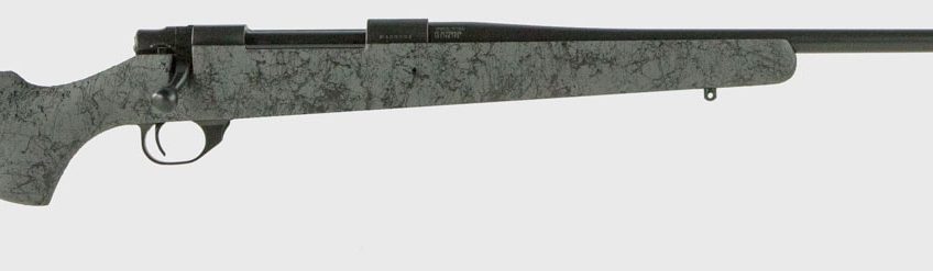 HOWA 1500