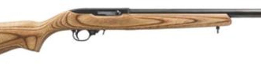 Ruger 10/22 22 LR 20" Brown Laminate Blue