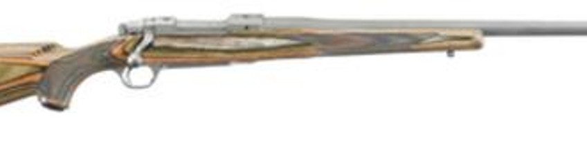 Ruger Predator 223, SS, Laminated Stock, 22"