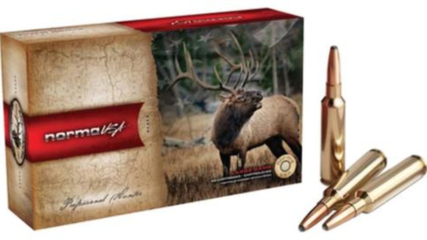 Norma PH .308 Norma Mag 180Gr, Oryx, 20rd Box