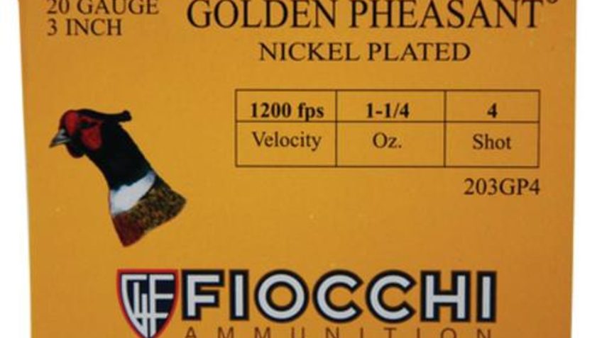 Fiocchi Golden Pheasant Nickel 20 Ga, 3", 1.25oz, 4 Shot, 1200 FPS, 25rd/Box