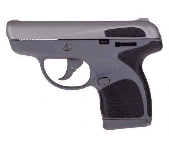 Taurus Spectrum Subcompact .380 Auto Pistol, Gray – 1007039201