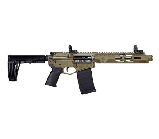 Diamondback Firearms DB15 10" .300 Blackout AR Pistol, FDE – DB15P300DS10FDE