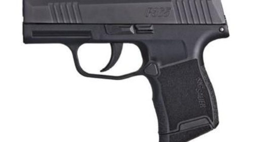 SIG Sauer P365 9mm Pistol w/ XRAY3 Day/Night Sights