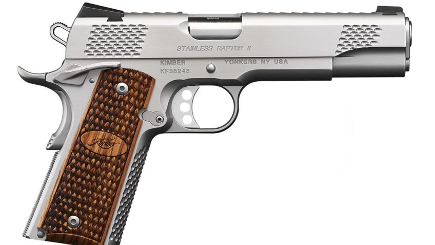 KIMBER STAINLESS RAPTOR II