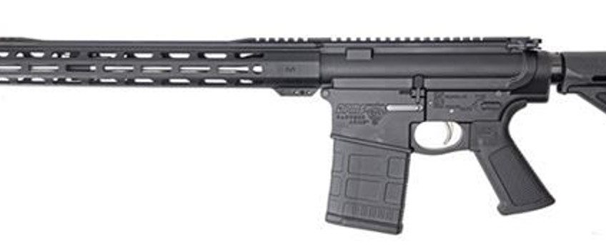 DPMS DP10