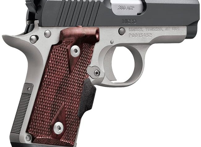 Kimber Micro Two-Tone (LG)(NS) .380 ACP Pistol 3300215