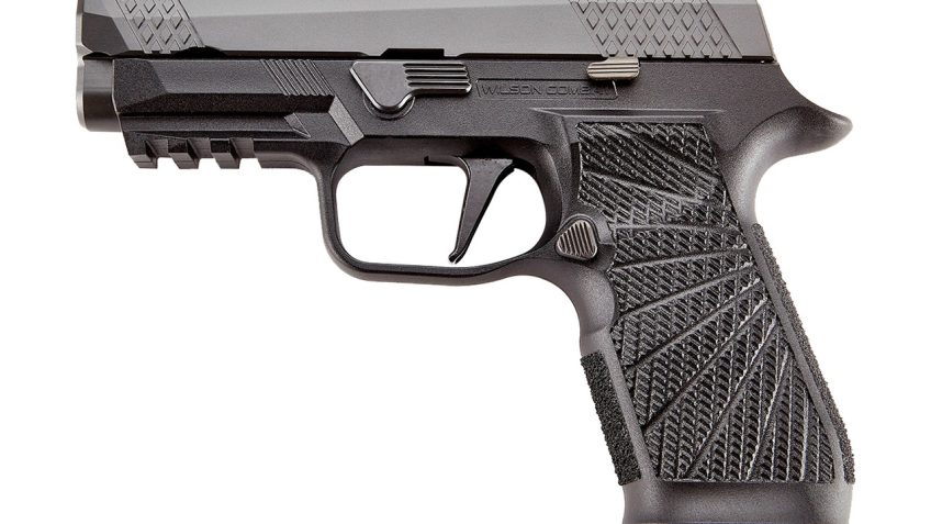 Wilson Combat WCP320 Carry 9mm, 3.9" Barrel, Carry || Module, Black, 17rd