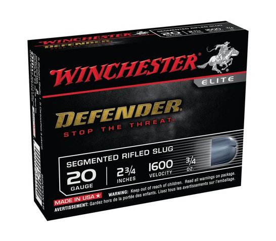 Winchester 20ga 2.75" Segmented Slug 5rds – S20PDX1S