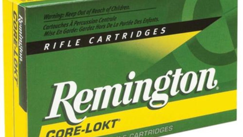 Remington Core-Lokt Brass 7mm Rem Mag 140 Gr 20-Rounds Core-Lokt Pointed Soft Point