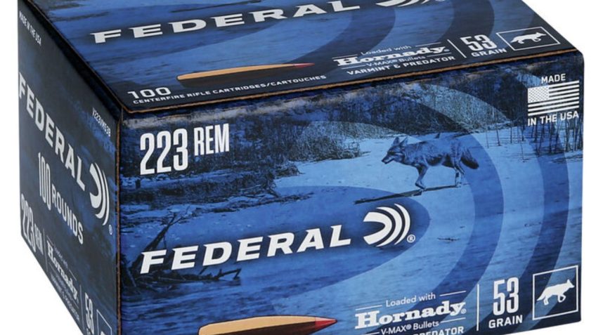 Federal Varmint and Predator 223 Rem 53 Grain 100 Count