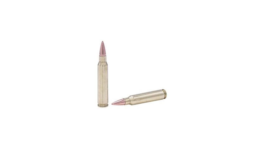 Fort Scott Munitions TUI Brass .223 Rem 55-Grain 20-Rounds SCS