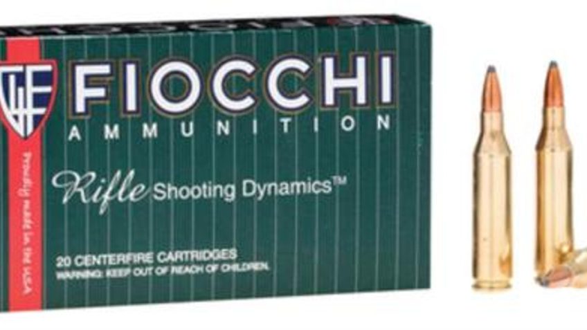 Fiocchi 243SPD RSD 243 100 PSp 20rds