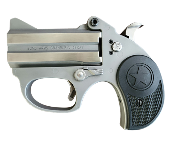 Bond Arms Stinger Stainless 9mm 2.5" Barrels 2-Rounds