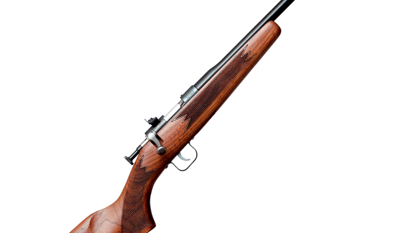 Keystone Sporting Arms Chipmunk Deluxe Single-Shot Rifle for Youth