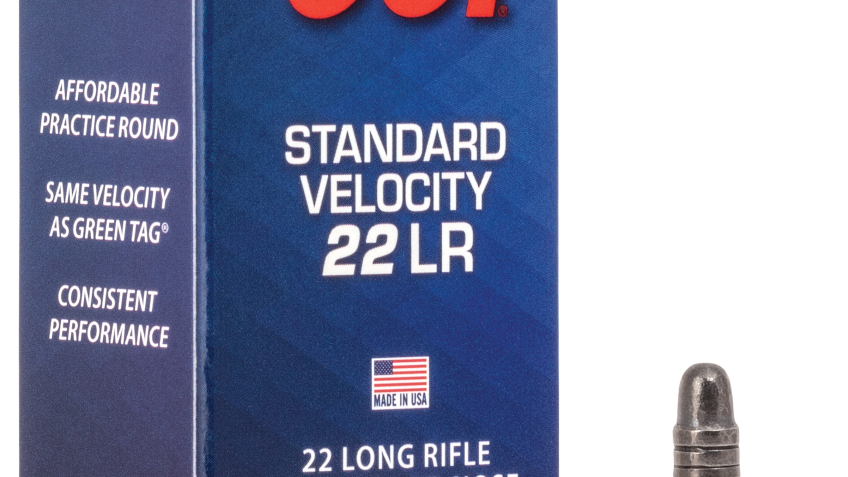 CCI Standard Velocity Rimfire Ammo – Lead Round Nose – 50 Rounds