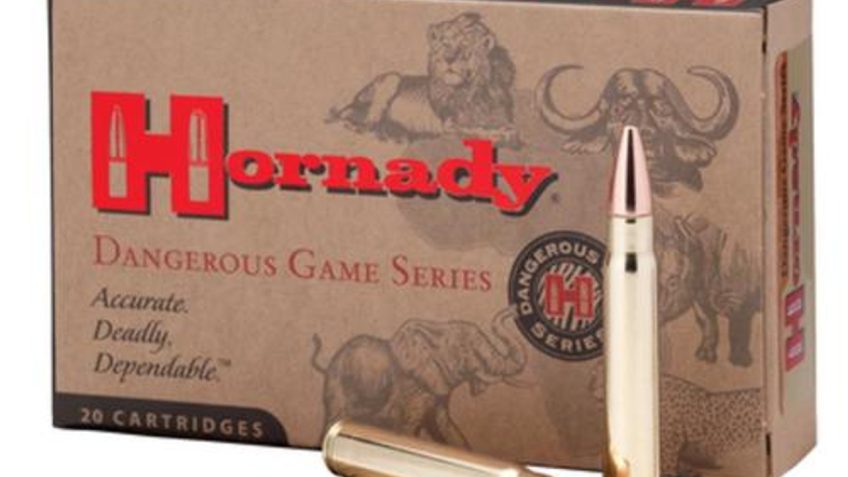 Hornady Dangerous Game .450 Nitro 480gr Ammunition w/DGS Bullets (20/Box) 8256