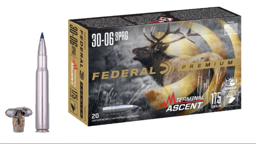 Federal Premium, 30-06 Cal 175 Grain 20/10