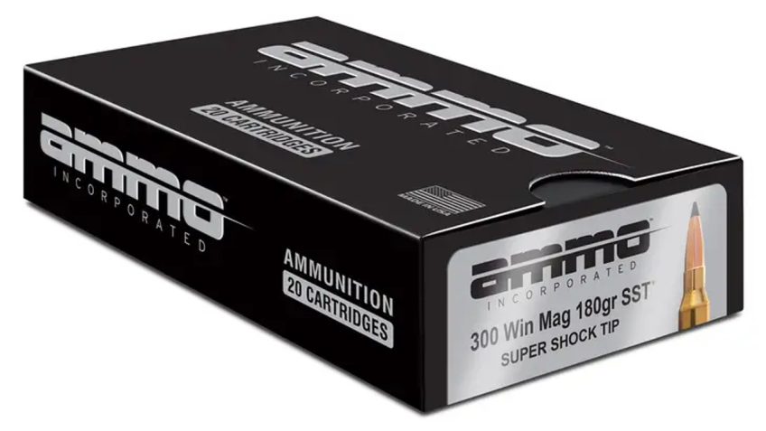 Ammo Incorporated Signature, 300 Win Mag 180 gr 20/10