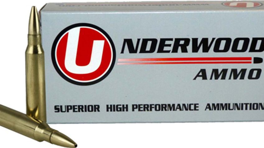 Underwood Ammo .30-30 Winchester 140 Grain Solid Monolithic Hollow Point Nickel Plated Brass Cased Rifle Ammo, 20 Rounds, 559