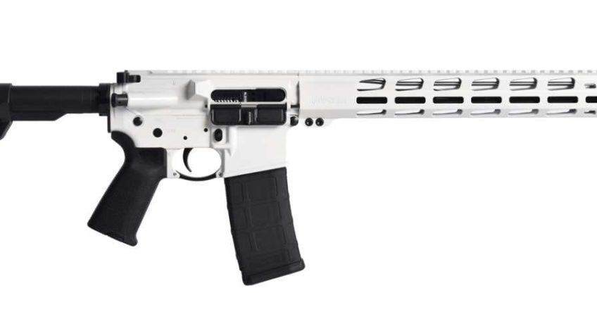 RUGER AR-556