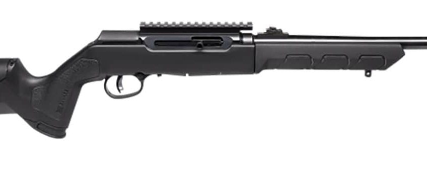 SAVAGE A22 TAKEDOWN 22LR 18" 10RD BLACK