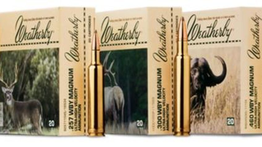 Weatherby Select Plus, Wthby H460500fj  460wby  500 Fmj    20